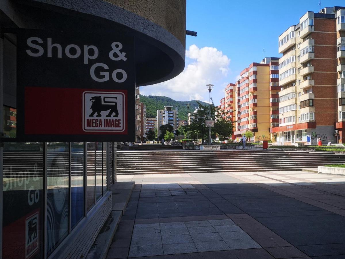 Mid-Term Rental Racadau Apartment Μπρασόβ Εξωτερικό φωτογραφία